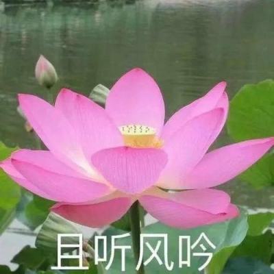 剑圣挂机h5游戏下载